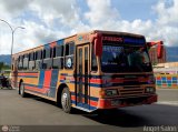 Expresos Pegamar 0019 por �ngel Sal�n