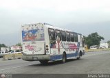 Autosirco 515 Carroceras Larenses Orinoco I Mercedes-Benz O-302 Recarrozado