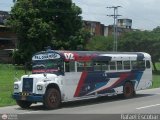 Transporte Colectivo Palo Negro 002 Blue Bird Convencional No Integral International Harvester Loadstar
