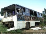 VA - Colectivos Carayaca C.A. 16 Ikarus 260 Man Raba D 2156 HM6U