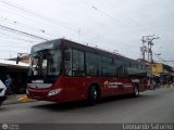 Bus Mrida 99