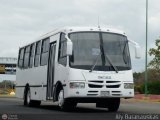 Particular B-09