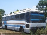 En Chiveras Abandonados Recuperacin 40