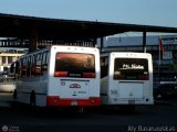 Garajes Paradas y Terminales San-Diego, por Aly Baranauskas