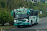 TA - Unin Transporte El Corozo S.A. 80