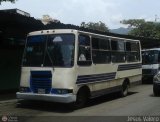 MI - A.C. Lnea La Rosa de Guatire 47 Carroceras Sotelo y Ario Busven Ford B-350