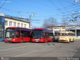 TransBarca 11 Neoplan Electroliner N6321 Desconocido NPI