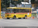 MI - Alcalda del Municipio Sucre 111