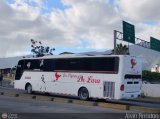 Los P�jaros de Lara 020 por Alvin Rond�n