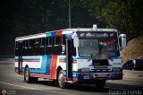 Transporte Palo Negro La Morita 2 105-A