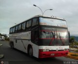 Transporte Bonanza 0035