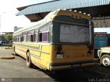 ZU - Colectivos Concepcin 039