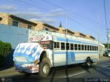 Transporte Colectivo Palo Negro 69 Blue Bird Convencional No Integral International 3800