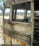 En Chiveras Abandonados Recuperacin 1020 Blue Bird All American FE Integral Cummins V-504 (V8 210Hp)