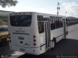 A.C. Transporte Central Morn Coro 032, por Aly Baranauskas