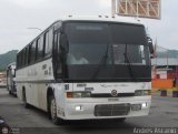 Expresos Los Llanos 205