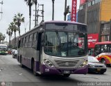 Consorcio del Corredor Morado (Per�) 462