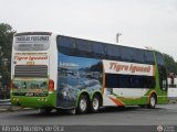 Expreso Tigre Iguaz (Va Bariloche) 6152