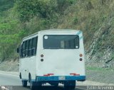 Particular o Desconocido 33 Artesanal o Desconocido Sin Nombre Desconocido NPI