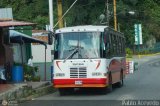 DC - A.C. de Transporte Llanito - Cafetal 29, por Pablo Acevedo