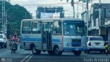 AP - Cooperativa de Transporte Libertador