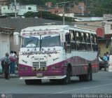 Colectivos Guayas S.A. 001, por Alfredo Montes de Oca