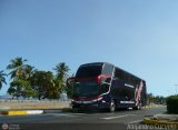 Tigres de Aragua B.B.C. 01
