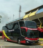 Aragua Ftbol Club 0001, por Alejandro Curvelo