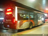 Bus CCS 1225, por Alfredo Montes de Oca