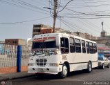 Ejecutivos Kova 071