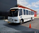 A.C. Transporte Paez 001, por Yenderson Fernndez C.