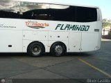 Expresos Flamingo 0094