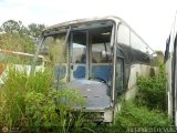 En Chiveras Abandonados Recuperacin AC1700 2, por Alejandro Curvelo