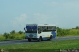 Asociacin Civil Unin Sabaneta 043 Fanabus KingWay Ford Cargo 1721