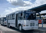 L�nea La Pastora 66