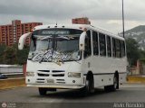 Colectivos El Vig�a 16 por Alvin Rond�n
