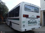 Transporte Bucaral 01