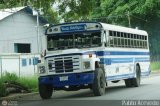Transporte Colectivo Palo Negro 051 Wayne Lifeguard International 3000FE