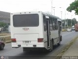 A.C. de Transporte La Raiza 100