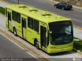 Metrolinea P2008