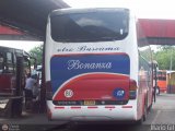 Transporte Bonanza 0011