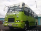 A.C. Transporte Campesino 31