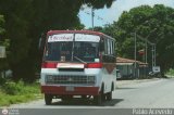 A.C. Cond. por Puesto El Angel del Llano 79 Fanabus BimboBus Chevrolet P31 Nacional
