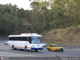 Transporte Unido (VAL - MCY - CCS - SFP) 038, por Pablo Acevedo