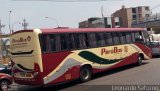 Empresa de Transporte Per Bus S.A. 964 Comil Campione 3.45 2015 Scania K360