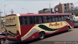 Empresa de Transporte Per Bus S.A. 964