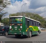 A.C. Unin Palo Negro (U.P.N.) 009