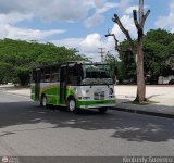 Transporte La Villa 16