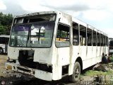 En Chiveras Abandonados Recuperacin AC0006 Encava E-NT3200  
