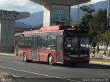 Bus Barlovento